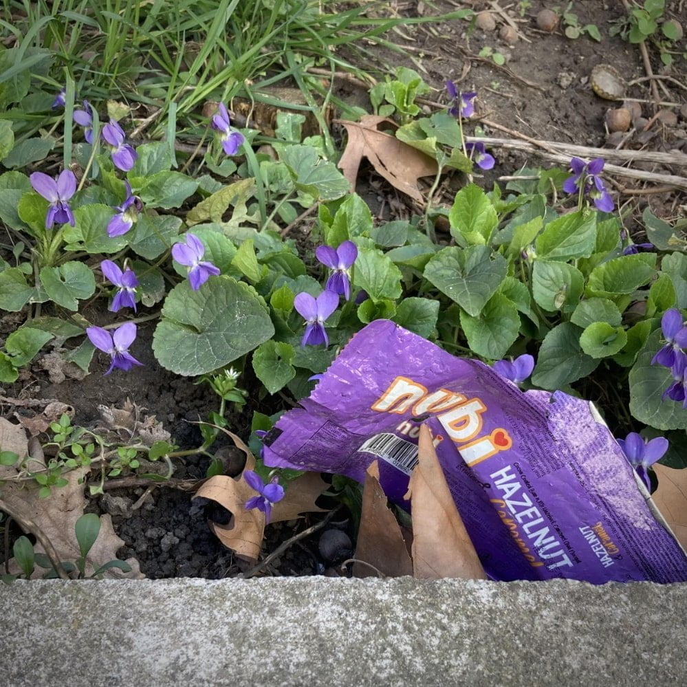 Prolećna rapsodija boja